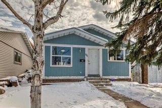 Main Photo: 176 dovely Crescent SE in Calgary: Dover Detached for sale : MLS®# A2126650