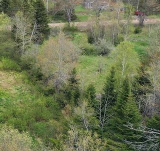 Photo 4: 1027 Alders Road in Canaan: Kings County Vacant Land for sale (Annapolis Valley)  : MLS®# 202216881