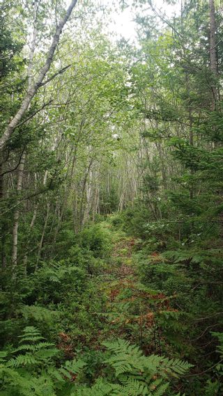Photo 4: Lot Sandy Point Road in Jordan Bay: 407-Shelburne County Vacant Land for sale (South Shore)  : MLS®# 202317326