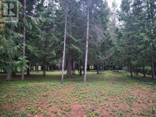 Photo 7: MANSON AVE in Powell River: Vacant Land for sale : MLS®# 16886