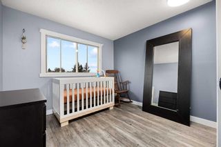 Photo 18: 74 Queen Anne Close SE in Calgary: Queensland Detached for sale : MLS®# A2121204