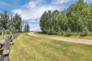 Photo 35: 361052 Rang Road 5-1: Caroline Agriculture for sale : MLS®# A2119710