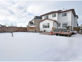 Photo 18: 156 CITADEL MEADOW Grove NW in CALGARY: Citadel Residential Detached Single Family for sale (Calgary)  : MLS®# C3552492