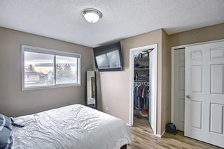 Photo 22: 813 Applewood Drive SE in Calgary: Applewood Park Detached for sale : MLS®# A1076322
