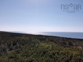 Photo 3: Lot 2 Highway 217 in Tiverton: Digby County Vacant Land for sale (Annapolis Valley)  : MLS®# 202209429