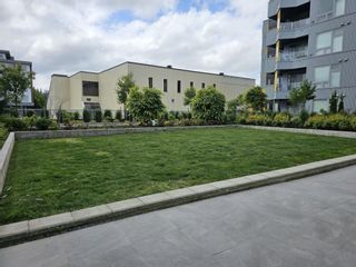 Photo 14: 301 32838 LANDEAU Place in Abbotsford: Central Abbotsford Condo for sale in "THE COURT" : MLS®# R2878907