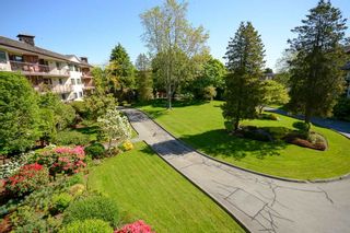Photo 17: 210 10180 RYAN Road in Richmond: South Arm Condo for sale in "STORNOWAY" : MLS®# R2369325