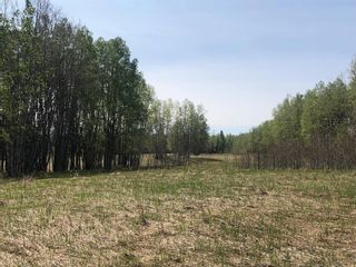 Photo 9: 0 223 Avenue W: Rural Foothills County Residential Land for sale : MLS®# A2037670
