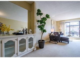Photo 3: 202 611 67 Avenue SW in Calgary: Kingsland Apartment for sale : MLS®# A2129404