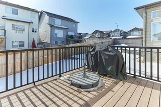 Photo 36: 229 Panamount Road NW in Calgary: Panorama Hills Detached for sale : MLS®# A2033345