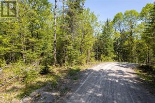 Photo 38: 18 JOHNSON Road in Apsley: Vacant Land for sale : MLS®# 40421063