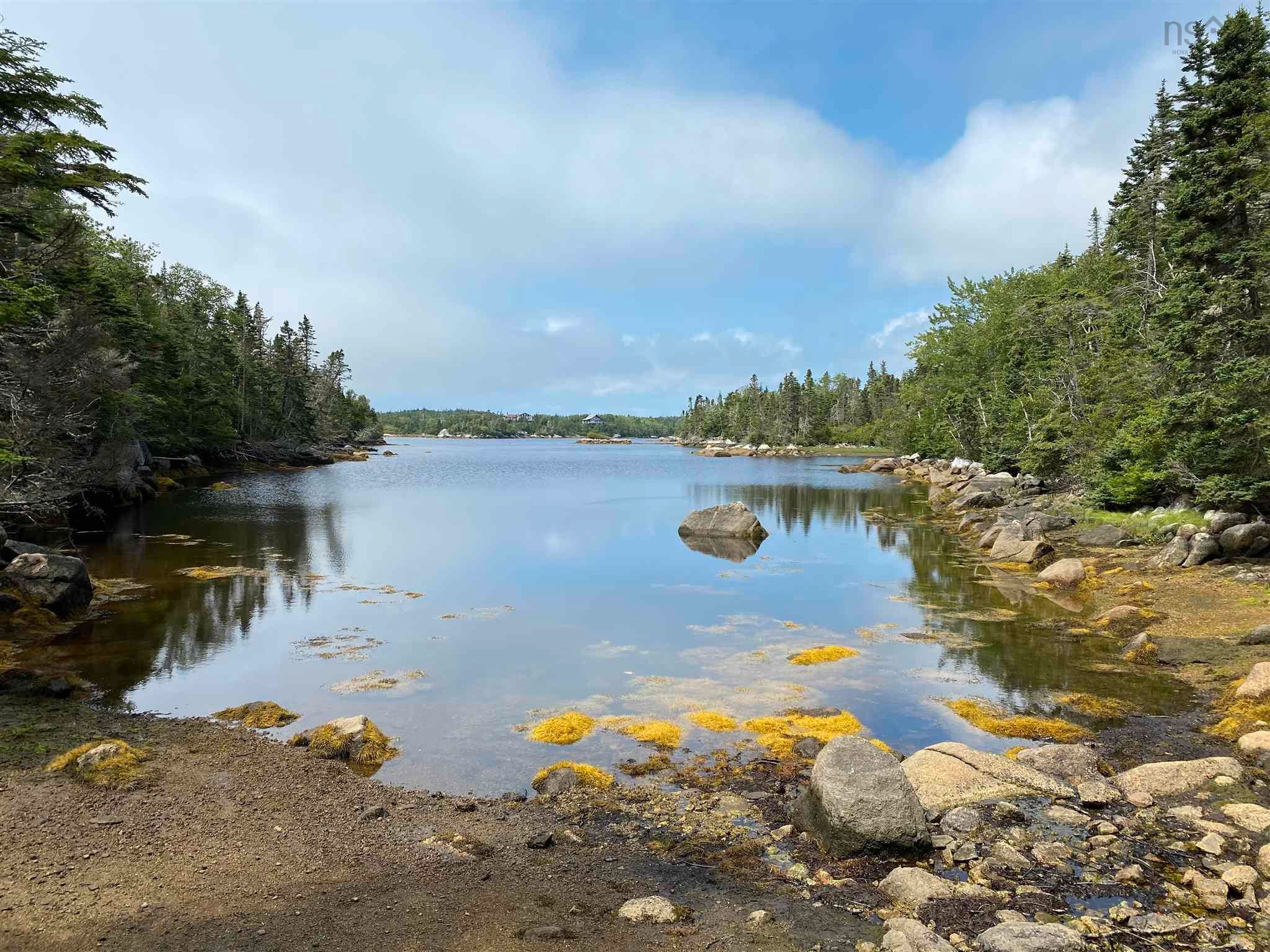 Main Photo: Scott's Point Road in East Dover: 40-Timberlea, Prospect, St. Marg Vacant Land for sale (Halifax-Dartmouth)  : MLS®# 202202668