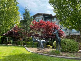 Photo 34: 405 3110 DAYANEE SPRINGS Boulevard in Coquitlam: Westwood Plateau Condo for sale : MLS®# R2707631