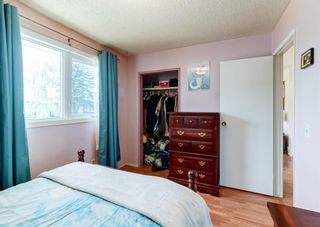 Photo 13: 432 Penworth Rise SE in Calgary: Penbrooke Meadows Detached for sale : MLS®# A1239892