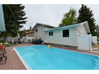 Photo 35: 131 LAKE CRIMSON Close SE in Calgary: Lake Bonavista House for sale : MLS®# C4064324