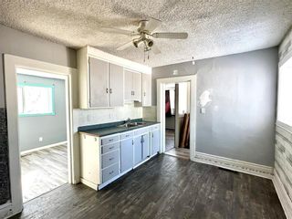 Photo 4: 129 Duke Avenue in Portage La Prairie: House for sale : MLS®# 202307939