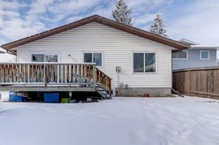 Photo 32: 76 Templewood Road NE in Calgary: Temple Detached for sale : MLS®# A1190228
