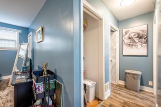 Photo 33: 6568 Young Street in Halifax Peninsula: 4-Halifax West Residential for sale (Halifax-Dartmouth)  : MLS®# 202318706