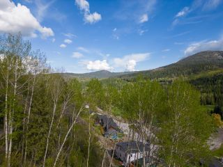 Photo 24: 1021 SILVERTIP ROAD in Rossland: Vacant Land for sale : MLS®# 2470639