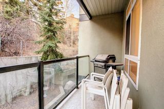 Photo 12: 203 540 5 Avenue NE in Calgary: Renfrew Apartment for sale : MLS®# A1182300