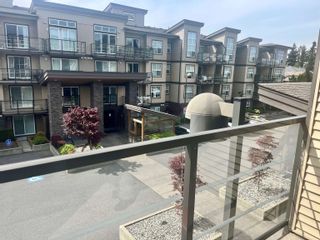 Photo 11: 323 30525 CARDINAL Avenue in Abbotsford: Abbotsford West Condo for sale in "Tamarind Westside" : MLS®# R2880657