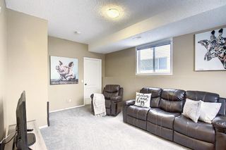Photo 22: 19 Arbour Stone Close NW in Calgary: Arbour Lake Detached for sale : MLS®# A1051234