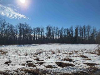 Photo 15: 50317 Rge Road 10: Rural Parkland County Rural Land/Vacant Lot for sale : MLS®# E4229985
