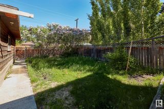 Photo 30: 9132 146A Street in Edmonton: Zone 10 House for sale : MLS®# E4389597