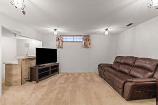 Photo 35: 924 Canna Crescent SW in Calgary: Canyon Meadows Detached for sale : MLS®# A2142507