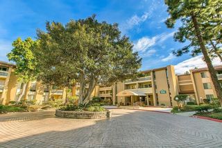 Photo 1: PACIFIC BEACH Condo for sale : 1 bedrooms : 1885 Diamond St #2-305 in San Diego