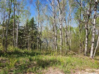 Photo 6: Lakeview Rec Lot in Barrier Valley: Lot/Land for sale (Barrier Valley Rm No. 397)  : MLS®# SK914625