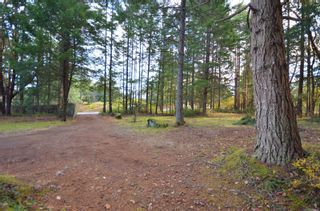 Photo 17: 7209 Aulds Rd in Lantzville: Na Upper Lantzville House for sale (Nanaimo)  : MLS®# 919650