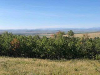 Photo 33: 306 Avenue W: Rural Foothills County Residential Land for sale : MLS®# A2084312