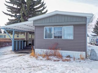 Photo 3: 95 Parkside Drive: Red Deer Mobile for sale : MLS®# A1182793