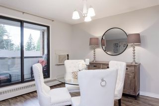 Photo 8: 317 8604 48 Avenue NW in Calgary: Bowness Apartment for sale : MLS®# A1240585