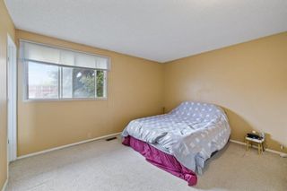 Photo 16: 2719 41A Avenue SE in Calgary: Dover Detached for sale : MLS®# A1132973