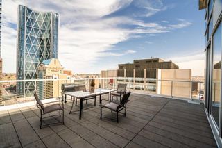 Photo 21: 2004 108 9 Avenue SW in Calgary: Downtown Commercial Core Apartment for sale : MLS®# A2123414