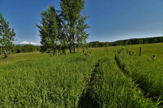 Photo 21: BOURGON ROAD in Smithers: Smithers - Rural Land for sale (Smithers And Area (Zone 54))  : MLS®# R2700048