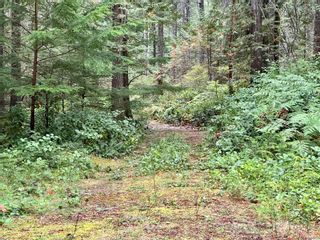 Photo 20: 700 Whaletown Rd in Whaletown: Isl Cortes Island Land for sale (Islands)  : MLS®# 942870