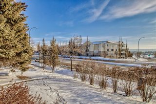 Photo 10: 5236 Dalhousie Drive NW in Calgary: Dalhousie Semi Detached (Half Duplex) for sale : MLS®# A2031669