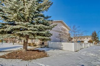 Photo 36: 42 Davis Close: Red Deer Row/Townhouse for sale : MLS®# A2022114