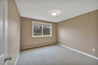 Photo 10: 101 103 Hermary Street: Red Deer Apartment for sale : MLS®# A2130012