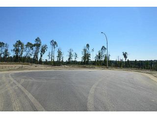 Photo 21: LOT 8 BELL Place in Mackenzie: Mackenzie -Town Land for sale in "BELL PLACE" : MLS®# N227301