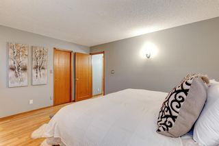 Photo 17: 79 Sunmount Crescent SE in Calgary: Sundance Detached for sale : MLS®# A2049200
