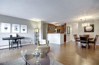 Photo 2: 78D 231 HERITAGE Drive SE in Calgary: Acadia Apartment for sale : MLS®# C4305999