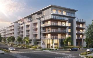Photo 1: 8447 202 Street in Langley: Condo for sale