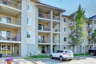 Main Photo: 3323 1620 70 Street SE in Calgary: Applewood Park Apartment for sale : MLS®# A2000539