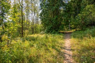 Photo 29: 2009 HAPPY VALLEY ROAD in Rossland: Vacant Land for sale : MLS®# 2472960