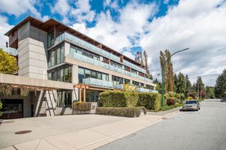 Photo 33: 303 650 EVERGREEN Place in North Vancouver: Delbrook Condo for sale in "The Brook" : MLS®# R2877762