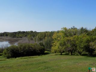 Photo 39: 31, 464079 RGE RD 244: Rural Wetaskiwin County House for sale : MLS®# E4354488